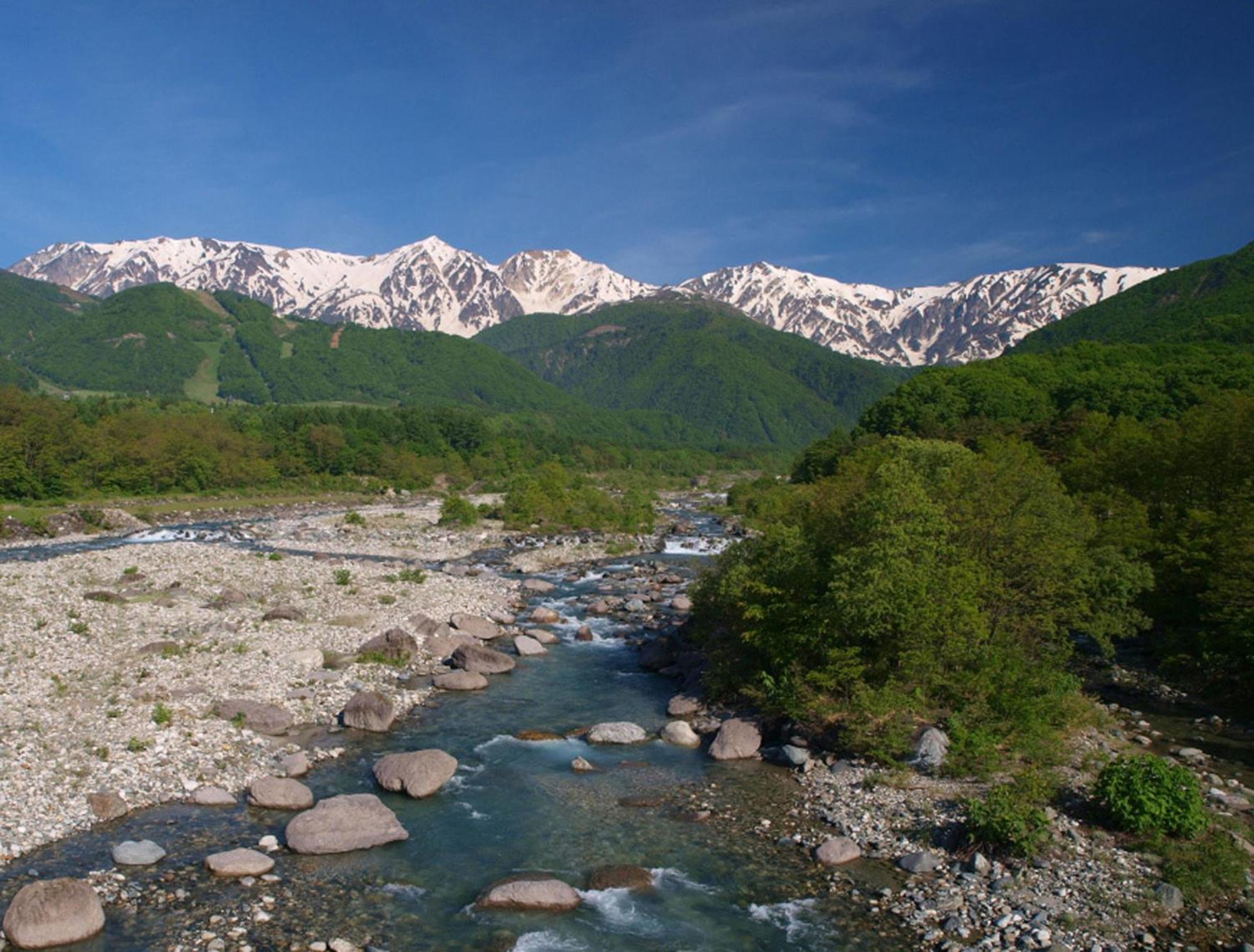 Hakuba Mominoki Hotel Екстер'єр фото