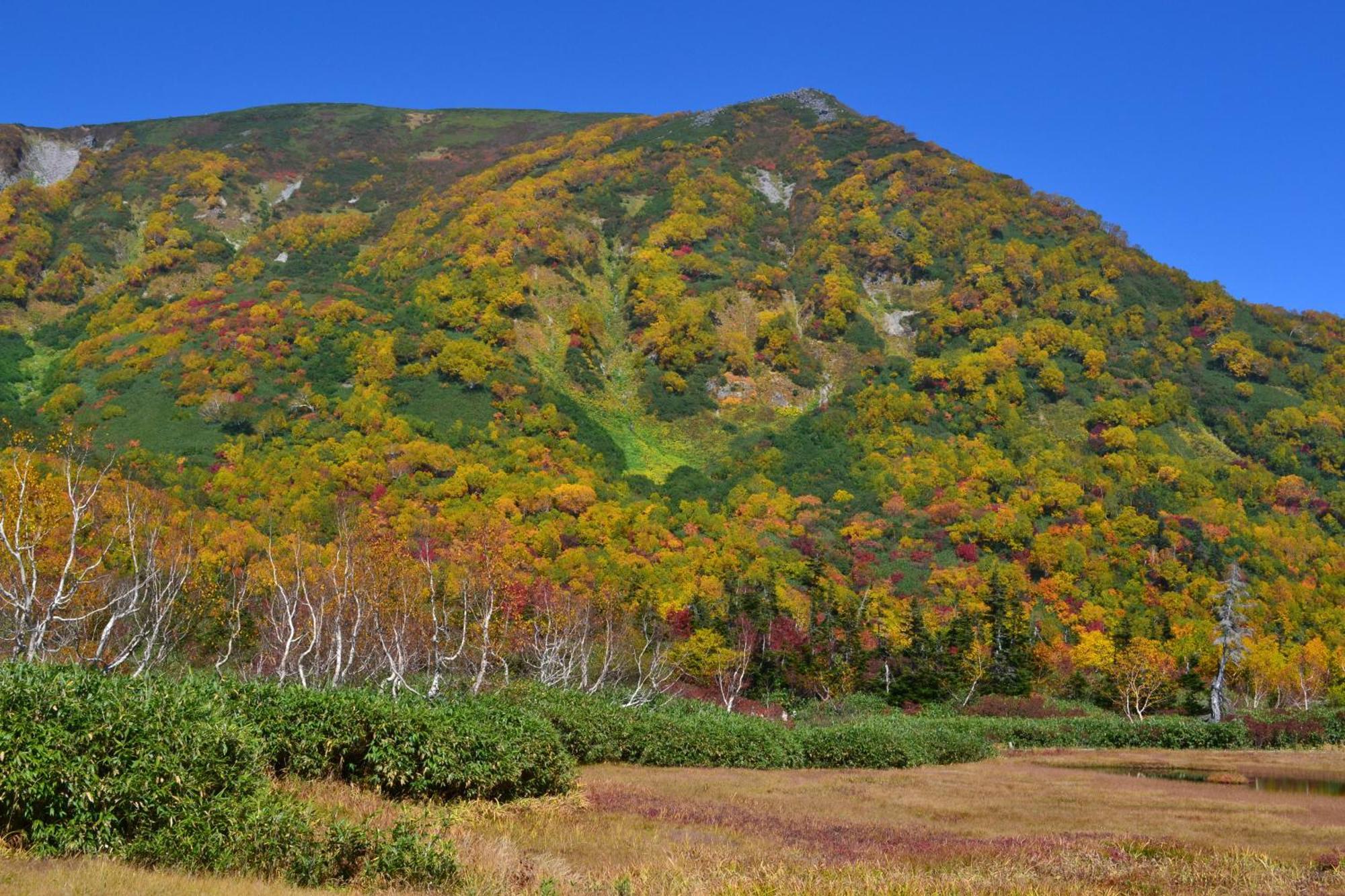 Hakuba Mominoki Hotel Екстер'єр фото